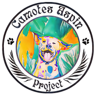 Camotes Aspin Project logo