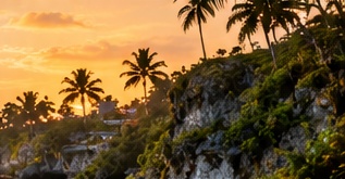 Tropical coastal sunset from the supplied design mockup