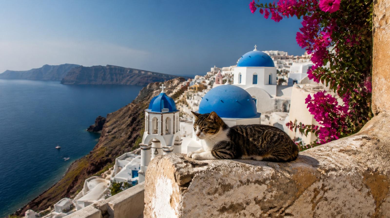 A coastal village streetscape in a Mediterranean tourism destination