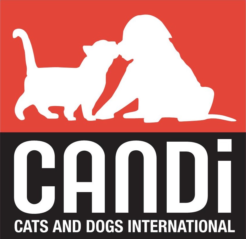CANDi — Cats and Dogs International
